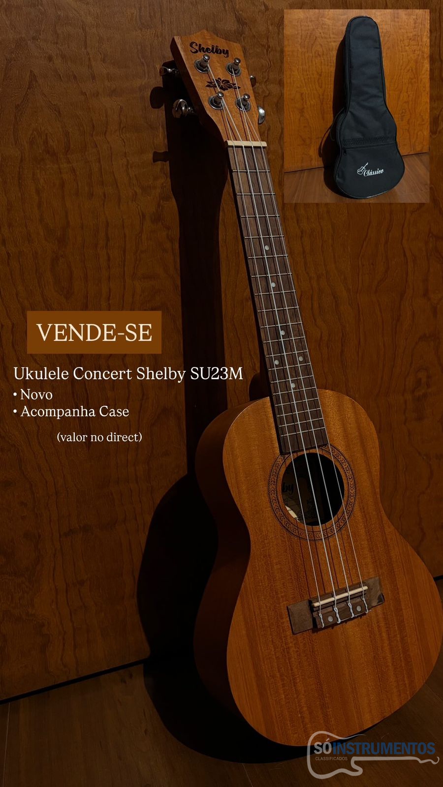 Ukulele Concert Ukulele Concert